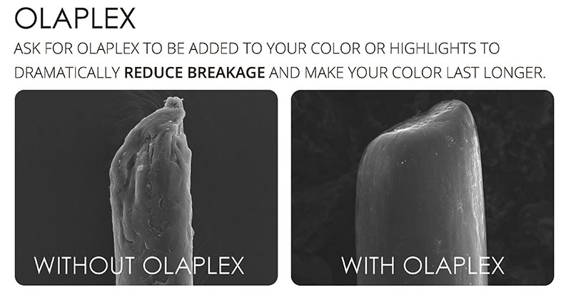 Olaplex Banner